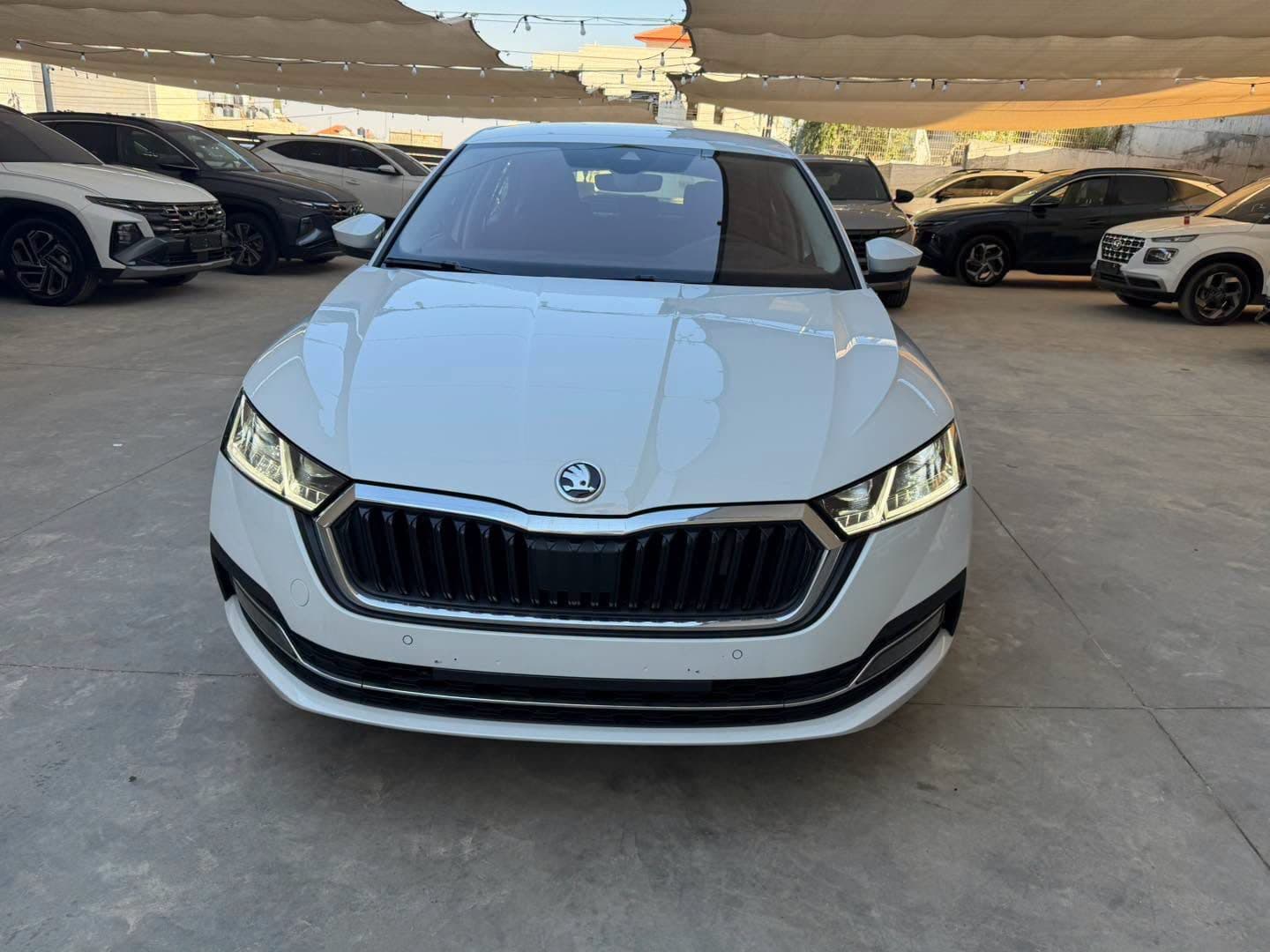 Skoda Octavia Limousine 2024